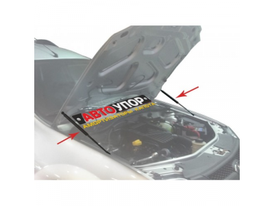 Амортизаторы капота Автоупор, LADA Largus 2012-... от Rival Амортизаторы капота Автоупор, LADA Largus 2012-...