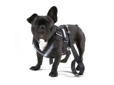 Ремень безопасности для собаки Skoda Dog Safety Belt, размер L от VAG Ремень безопасности для собаки Skoda Dog Safety Belt, размер L