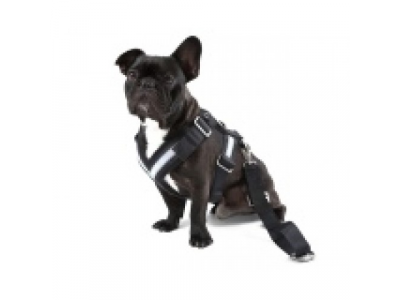 Ремень безопасности для собаки Skoda Dog Safety Belt, размер L от VAG Ремень безопасности для собаки Skoda Dog Safety Belt, размер L